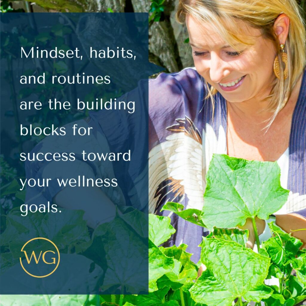 Healthy habits, mindset and rountines are the building blocks toward your wellness goals.