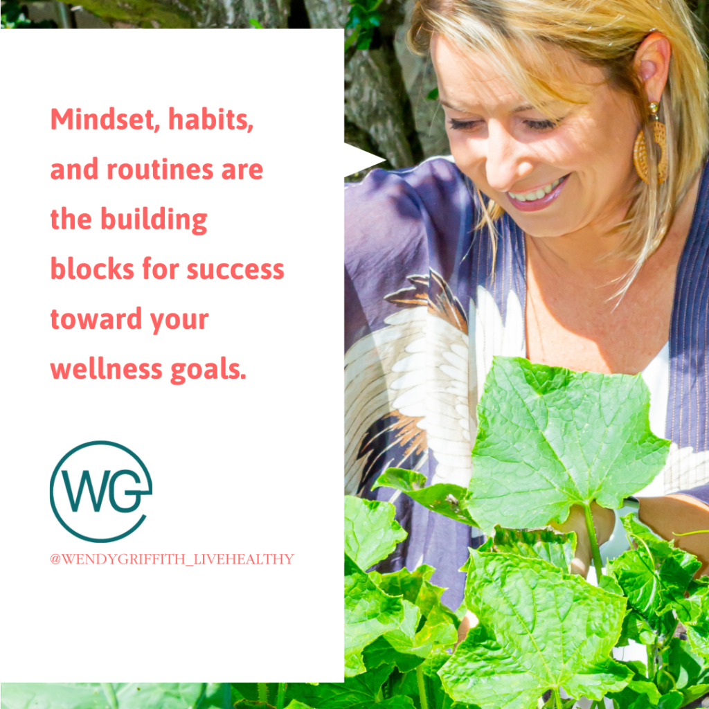 Healthy habits, mindset and rountines are the building blocks toward your wllness goals.