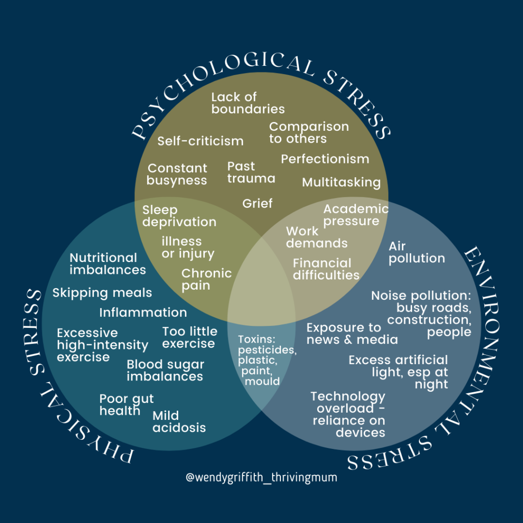 Venn diagram illustrating three types of stress: psychological, physical, and environmental. Overlapping areas show shared stressors like sleep deprivation, illness, chronic pain, and toxins. Individual stress types include factors such as perfectionism, trauma, high-intensity exercise, nutritional imbalances, noise pollution, and technology overload.